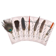 Load image into Gallery viewer, 1Set Calligraphy Feathers Fountain Pen